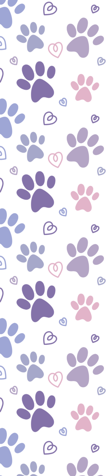 Uvdtf Marca Libros / Bolígrafos Mascotas